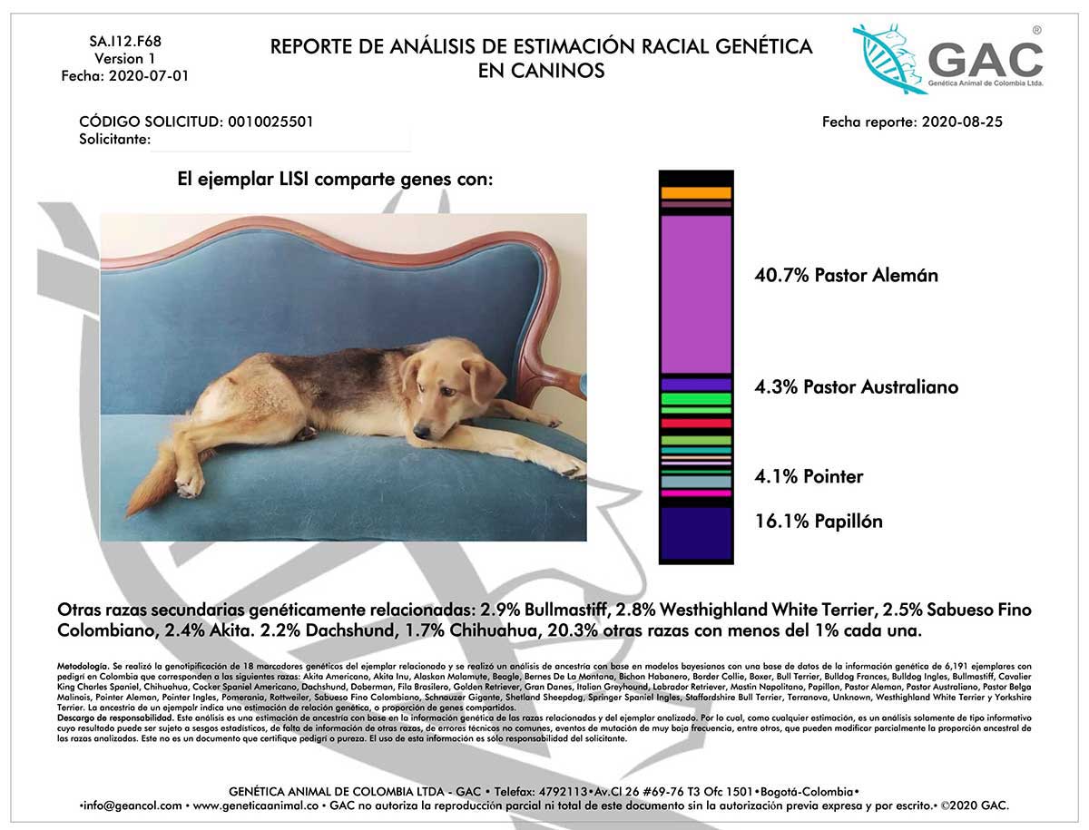 Prueba genetica Estimacion de raza en caninos